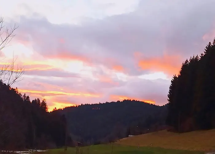 Vogtshof