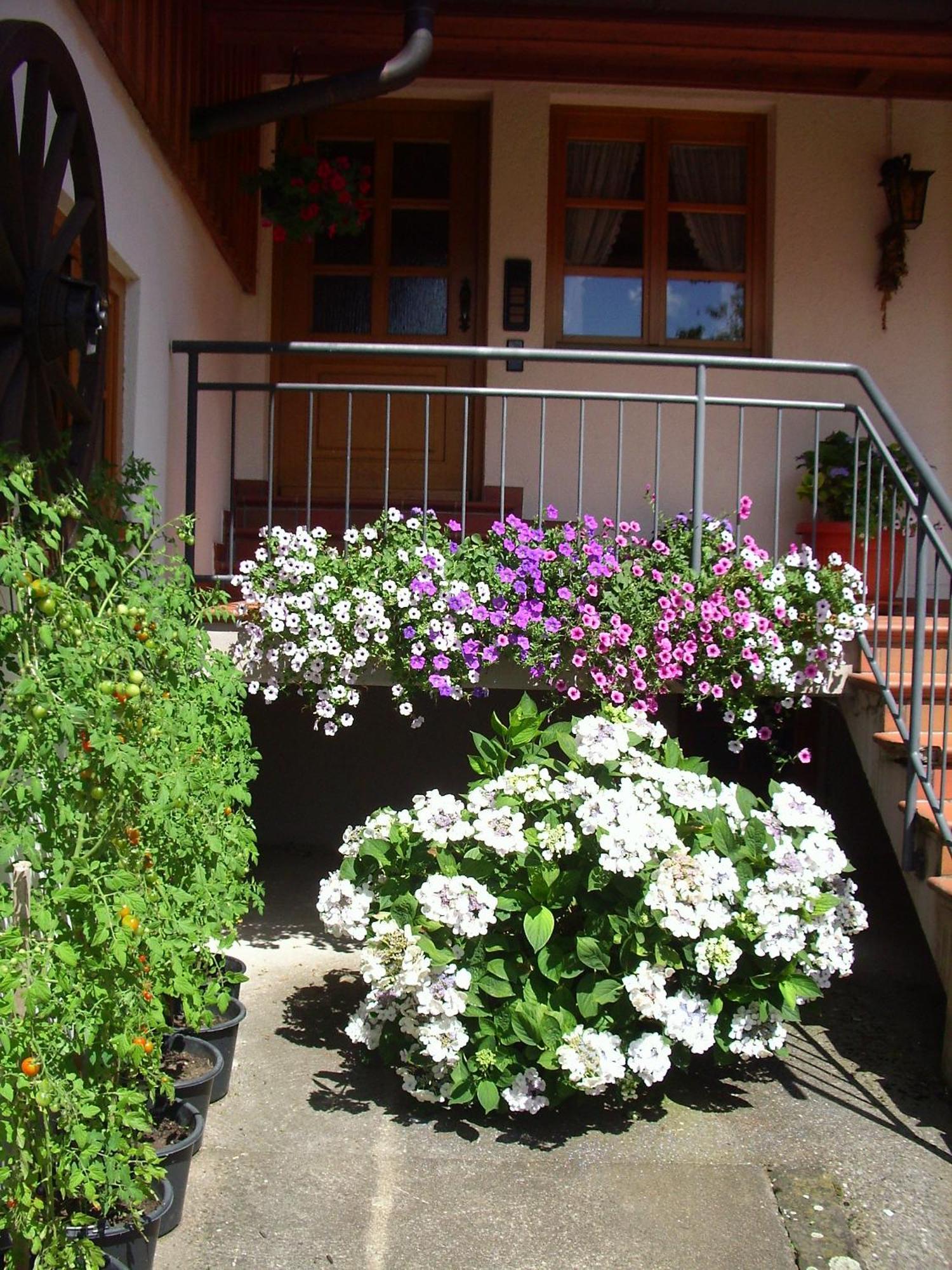 Apartment Vogtshof Bad Rippoldsau-Schapbach