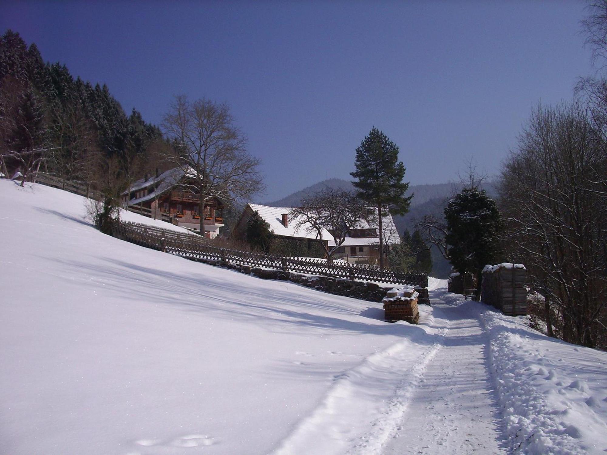 Vogtshof