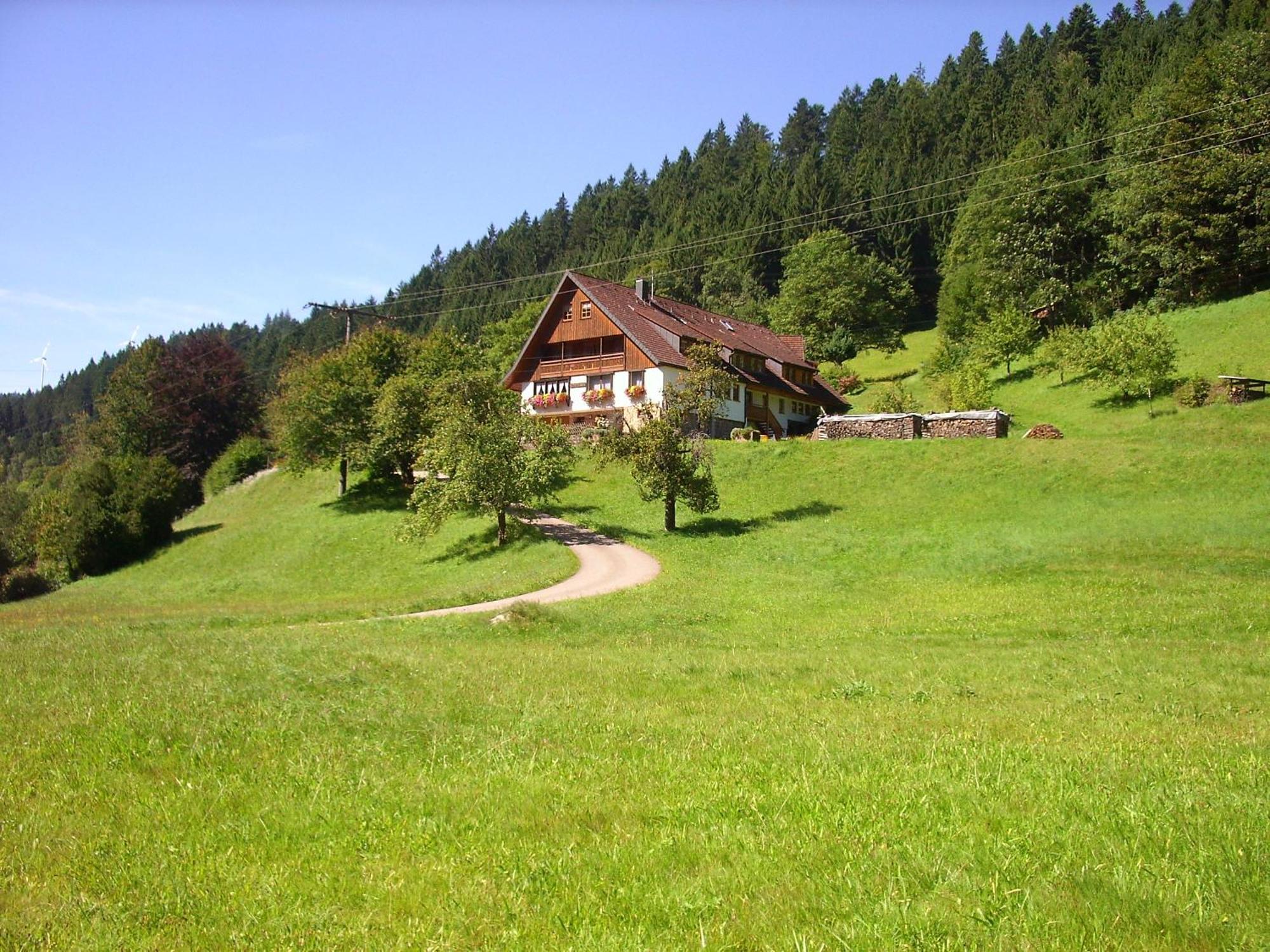 Vogtshof Apartment