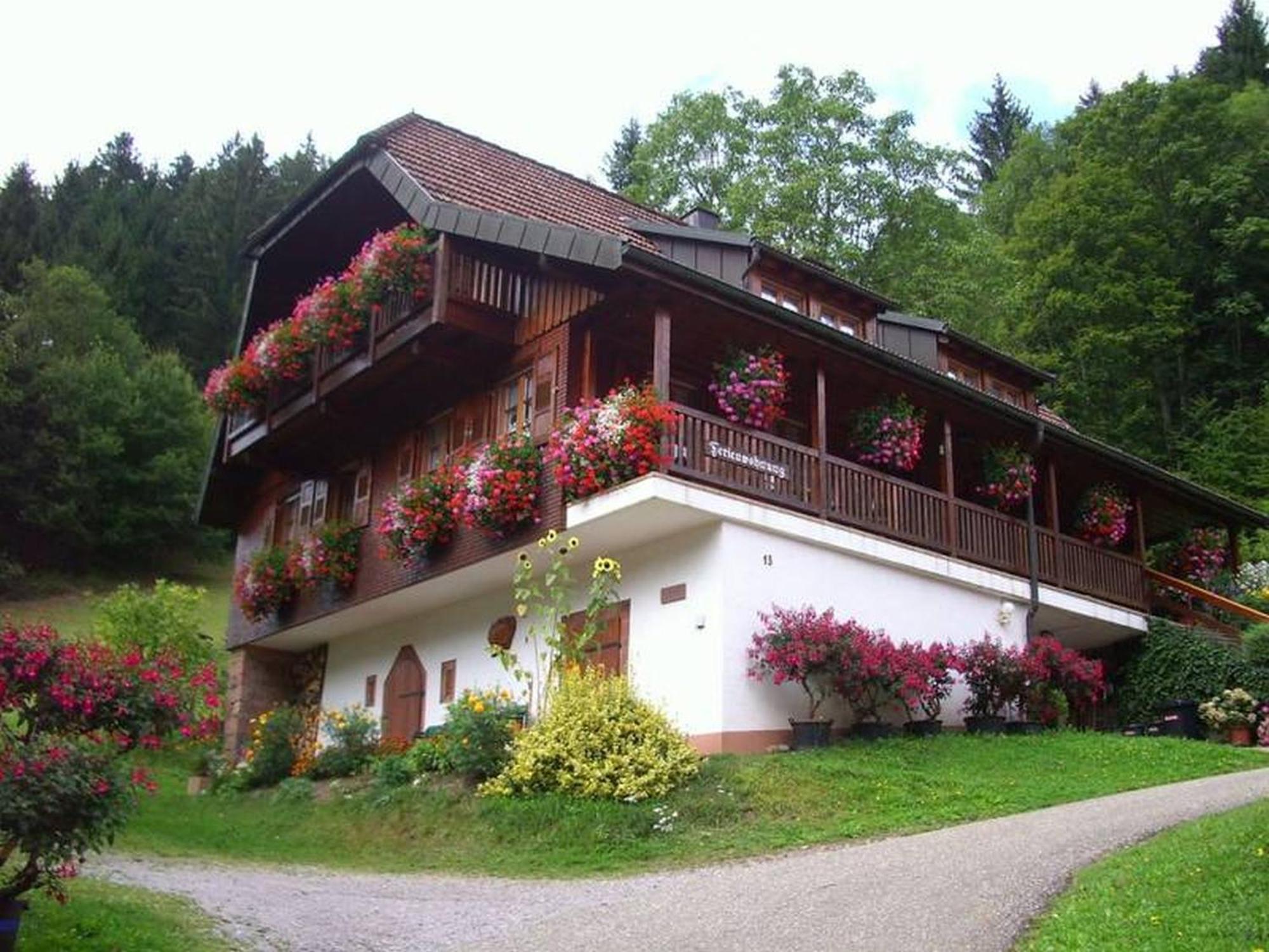 Vogtshof Apartment
